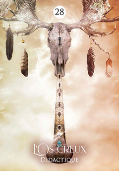 Le rêve du chaman - Cartes oracle