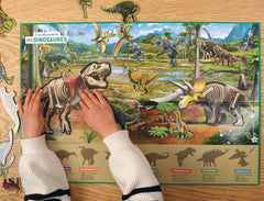 À la découverte des dinosaures