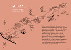 Célébrer la nature sur le Chemin de Compostelle