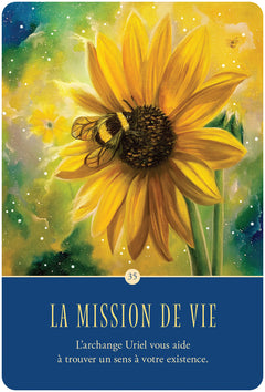 Coffret Oracle de la communication angélique