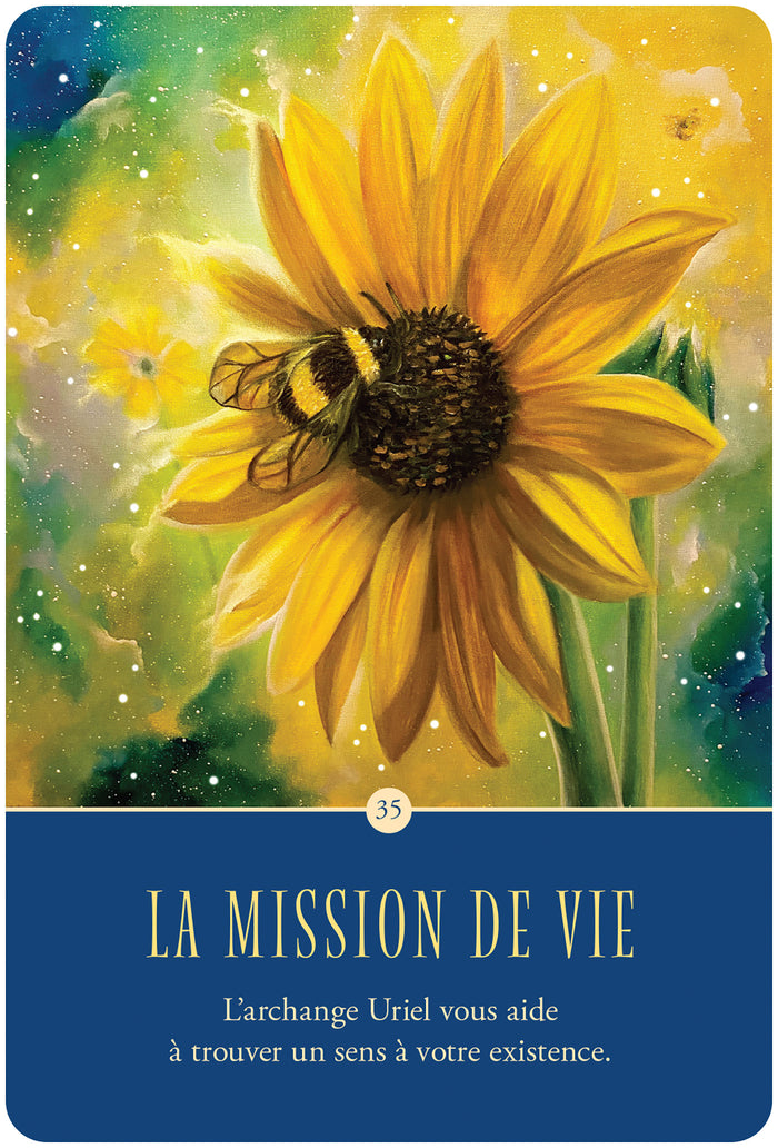 Coffret Oracle de la communication angélique