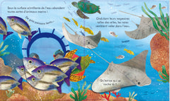 Coucou ! Sous l'océan