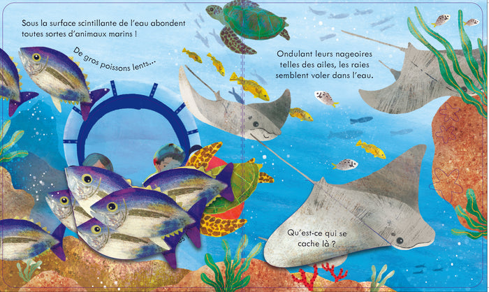 Coucou ! Sous l'océan