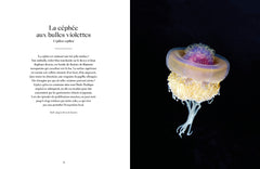 Le monde étrange et fascinant des méduses