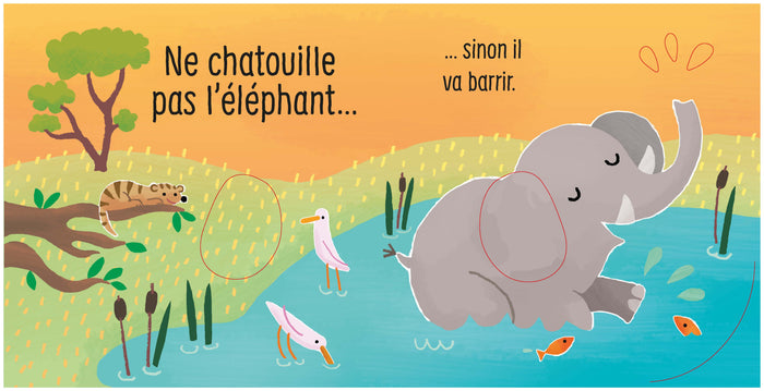 Ne chatouille pas l'éléphant ! - Je touche, j'écoute