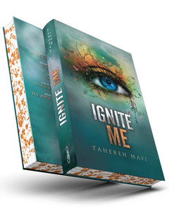 Insaisissable - Tome 3 Ne m'abandonne pas