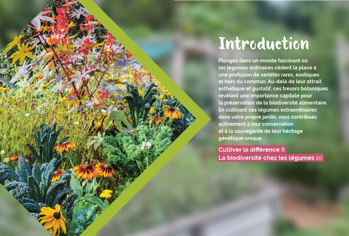 Un potager pas comme les autres