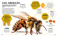 Apprendre en 5 minutes - Nature