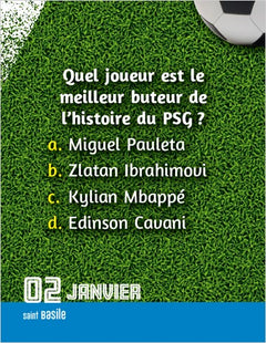 Le Grand 365 jours de foot