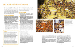 Installer un premier rucher