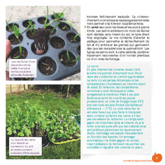 Mon petit jardin en permaculture