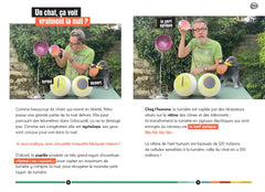 Dis Jamy- Pourquoi les chats n'aiment pas l'eau ?