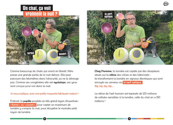 Dis Jamy- Pourquoi les chats n'aiment pas l'eau ?