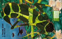 Construis tes insectes géants et autres avec des autocollants