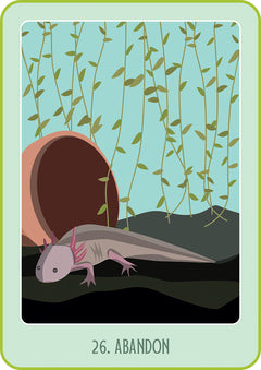 Mon Oracle poche du bien-être animal