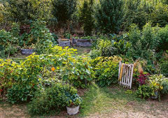 Des légumes pas comme les autres