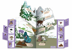 Enquêtes chez les animaux