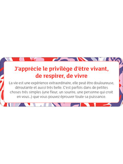 La petite boîte pour se libérer de l'autosabotage