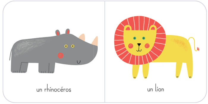 Ma boîte à trésors - Les animaux