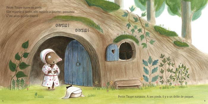 Une surprise pour petite taupe NED