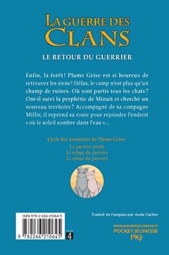 Les aventures de Plume Grise