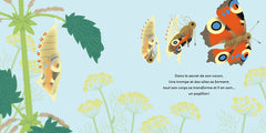 Les p'tits papillons