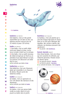 Dictionnaire Le Robert Benjamin