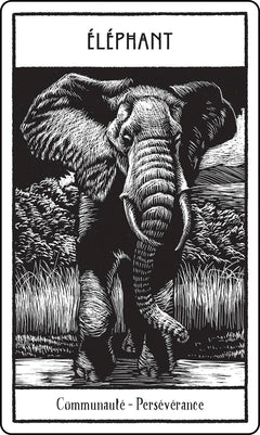Animaux sacrés cartes oracle - Messages de sagesse de la nature sauvage