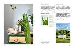 Orchidées - Guide de culture décomplexé