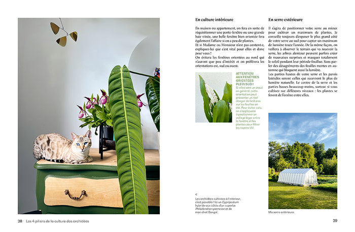 Orchidées - Guide de culture décomplexé