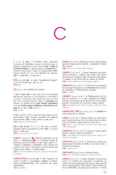 Dictionnaire Le Robert Collège