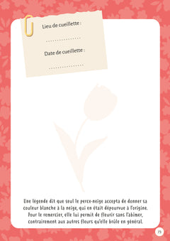 Mon premier herbier - Fleurs et feuilles