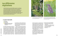 Créer un beau jardin-refuge pour les oiseaux