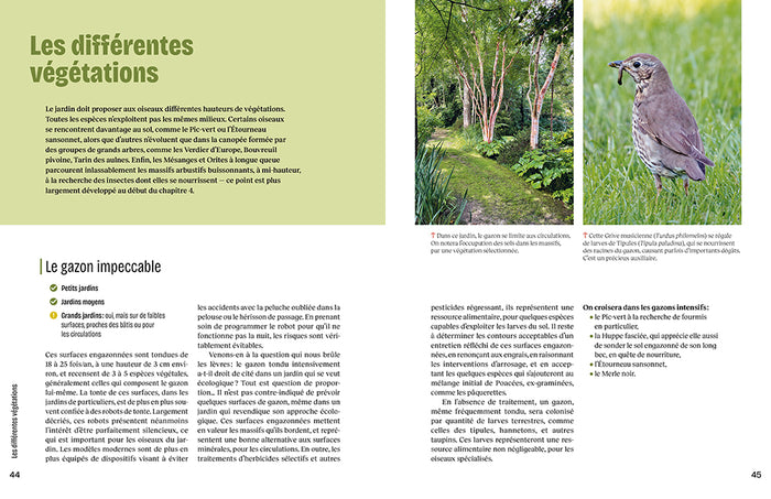 Créer un beau jardin-refuge pour les oiseaux