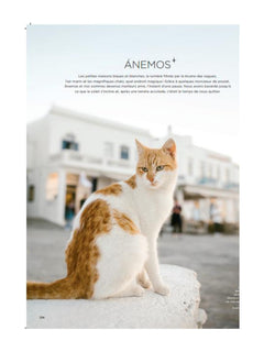 Les chats du monde
