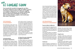 Comprendre & accompagner les émotions de mon chien