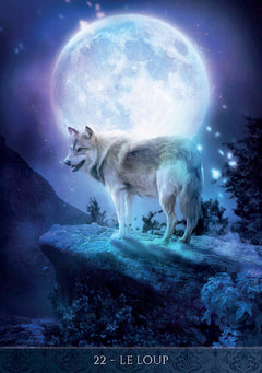 Coffret Oracle de la Nuit