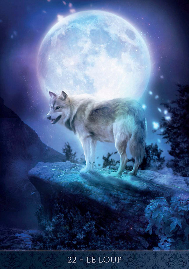 Coffret Oracle de la Nuit