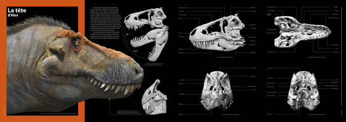 T-rex - Le roi des dinosaures - Nouvelle édition