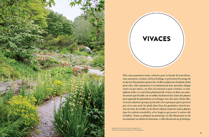 Les 900 plantes de jardin à connaître