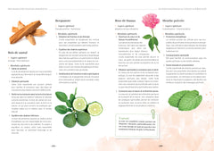Mon grand guide des huiles essentielles