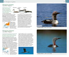 Oiseaux. 420 espèces