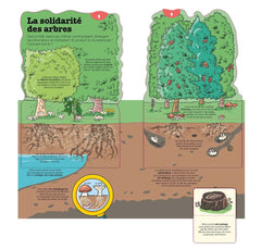 La vie des arbres