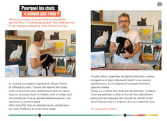 Dis Jamy- Pourquoi les chats n'aiment pas l'eau ?