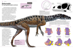 Dinosaures - Apparition, rayonnement, extinction