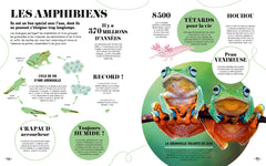 Apprendre en 5 minutes - Nature