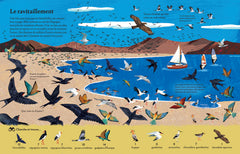 Vu d'en haut - Un cherche et trouve à vol d'oiseau