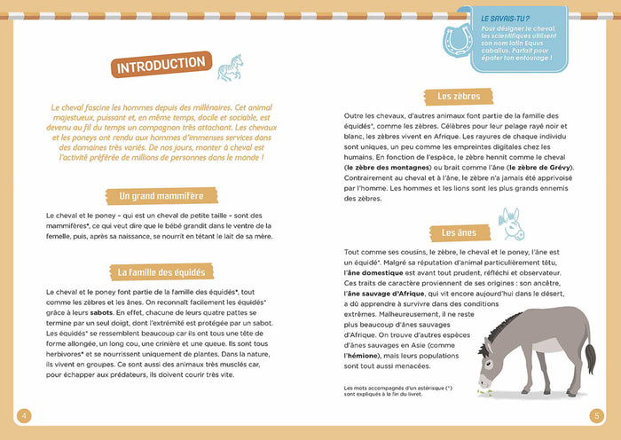 A la découverte des chevaux