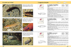Guide d'identification des poissons marins - Europe et Méditerranée