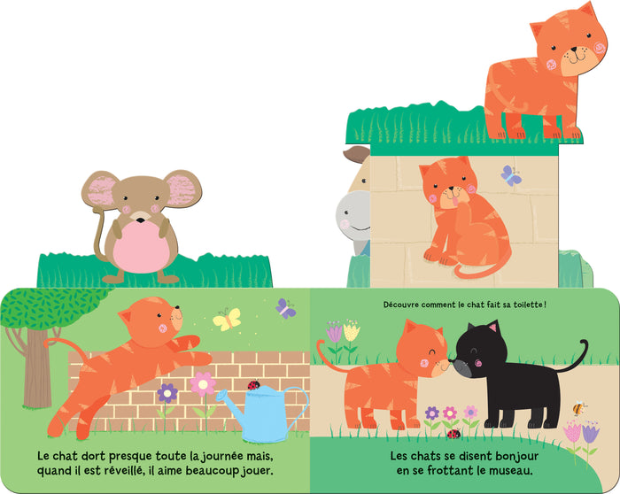 Qui se cache dans le jardin ? Ned